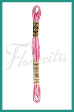 Cargar imagen en el visor de la galería, DMC 48 - 414