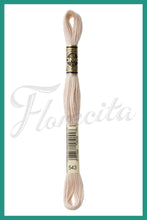 Cargar imagen en el visor de la galería, DMC 415 - 743