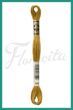 Cargar imagen en el visor de la galería, DMC 415 - 743