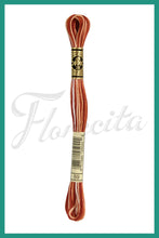 Cargar imagen en el visor de la galería, DMC 48 - 414