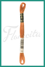 Cargar imagen en el visor de la galería, DMC 415 - 743