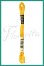 Cargar imagen en el visor de la galería, DMC 415 - 743