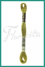 Cargar imagen en el visor de la galería, DMC 415 - 743