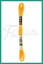 Cargar imagen en el visor de la galería, DMC 415 - 743