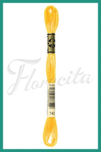 Cargar imagen en el visor de la galería, DMC 415 - 743