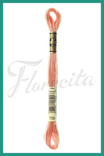 Cargar imagen en el visor de la galería, DMC 744 - 936