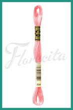 Cargar imagen en el visor de la galería, DMC 744 - 936