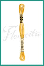 Cargar imagen en el visor de la galería, DMC 48 - 414