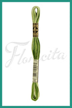 Cargar imagen en el visor de la galería, DMC 48 - 414