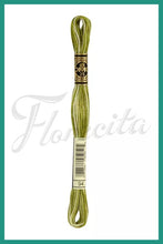 Cargar imagen en el visor de la galería, DMC 48 - 414