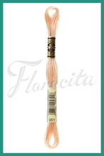 Cargar imagen en el visor de la galería, DMC 937 - 3744