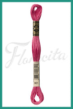 Cargar imagen en el visor de la galería, DMC 937 - 3744