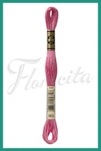 Cargar imagen en el visor de la galería, DMC 937 - 3744