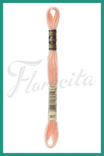 Cargar imagen en el visor de la galería, DMC 937 - 3744